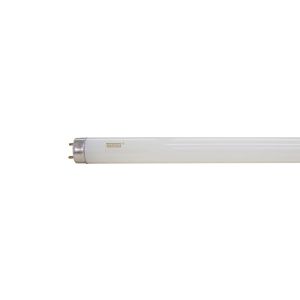 Lâmpada Fluorescente Tubular 18W T8 Taschibra