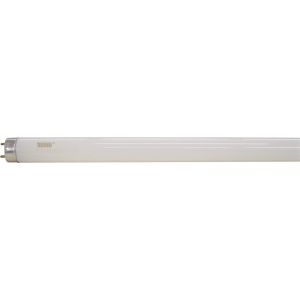 Lâmpada Fluorescente Tubular Taschibra 36W T8