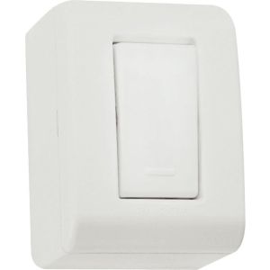 Conjunto Interruptor LizFlex 1 Módulo 10A Branco Tramontina