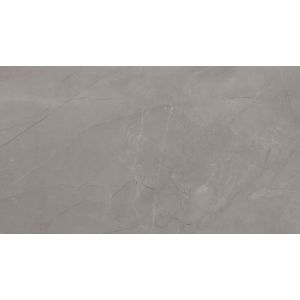 Revestimento Parede Eliane Pulpis Gray 32,5x59cm Brilhante Retificado Cinza