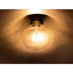 Lâmpada Filamento LED G80 4W Bivolt Taschibra