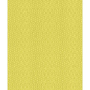 Papel de Parede Diagonal 0,53x10m Geo Circulos AM 800920