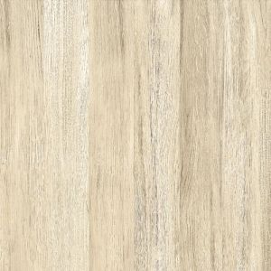 Piso Cerâmico Tauari Retificado Brilhante 61x61 Ilhabella