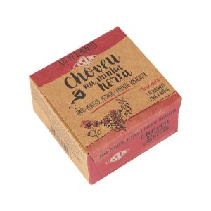 Kit Sementes Choveu na Horta Isla