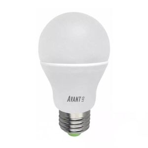 Lâmpada LED Pera 15W E27 6500K Luz Branca Avant