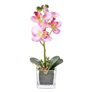 Haste Orquídea Grillo Cetim Rosa