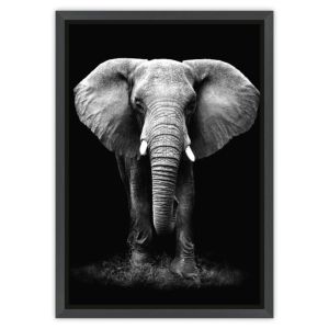 Quadro Tropical Artes 50x70cm Elefante Preto