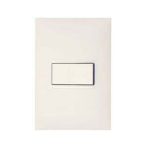 Conjunto Interruptor 1 Seção Plus Branco Pial