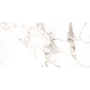 Porcelanato Capraia Retificado Polido 60x120 Elizabeth