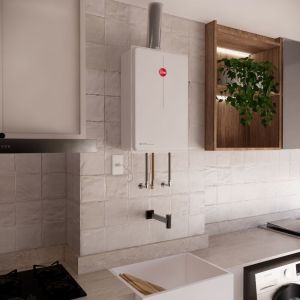 Aquecedor Passagem Gás Digital 35l/min Gn Branco Rheem