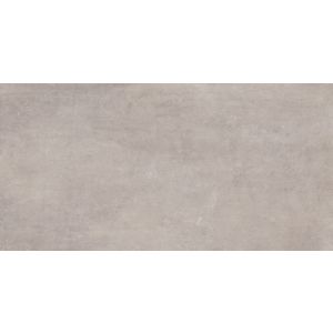 Porcelanato Cosmopolitan Soft Cinza Retificado Comercial 60cm X 120cm Elizabeth