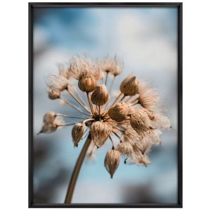 Quadro Dente Leao 50CM X 70CM Tropical Artes