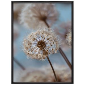 Quadro Dente Leao 50CM X 70CM Tropical Artes