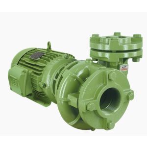 Motobomba Centrífuga BC-21 F2 7,5 CV Quadrivolt Schneider
