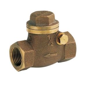 Válvula de Retenção Horizontal 2'' Docol