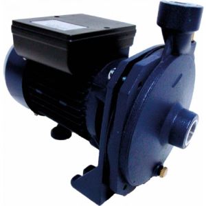 Motobomba Centrífuga 1cv Eletroplas MCSE-100