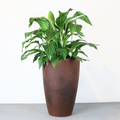 Vaso Redondo Malta Cone 55x38cm Rusty Vasart