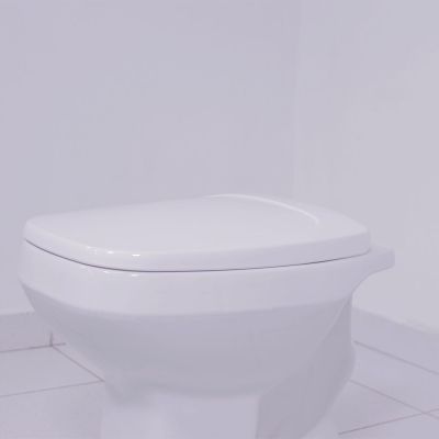 Assento Sanitário Polipropileno Avant/Art/City com Queda Amortecida Branco Tupan