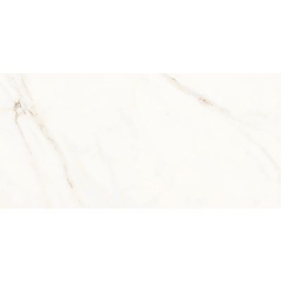 Porcelanato Opera White Retificado Polido 58,4x117 Portinari