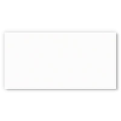 Piso Cerâmico Branco Mate PlusBranco Acetinado Retificado 37,4x74,4 Ilhabella