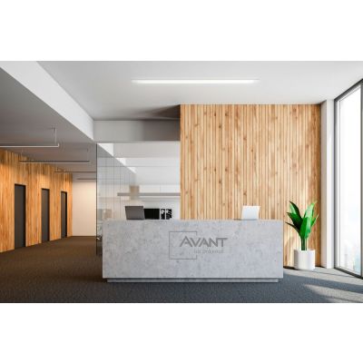 Luminária de Teto LED Elegance Sobrepor 18W 6500K Luz Branca Avant