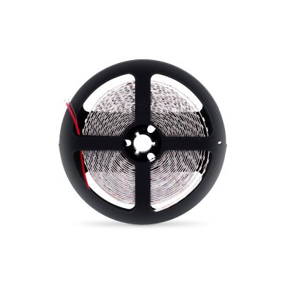 Fita LED Gaya Smart 10W RGB 5M Bivolt