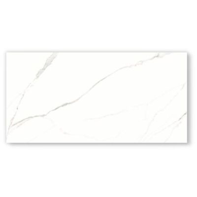 Porcelanato Statuário Retificado Acetinado 62x121 Damme