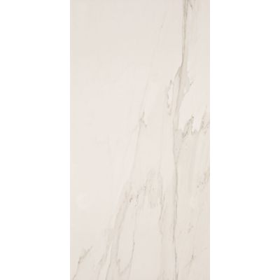 Porcelanato Charleston Retificado Polido 60x120 Portobello