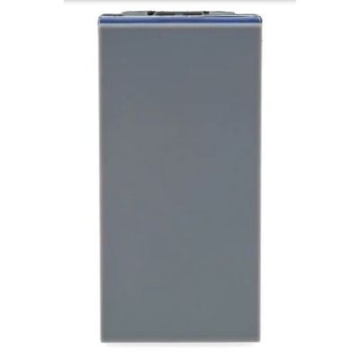 Modulo interruptor simples Plus+ Legrand 611010cz  10A cinza acetinado Pial