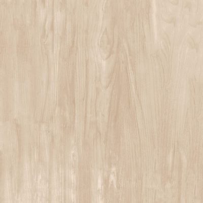 Piso Cerâmico Catania Lux Retificado Brilhante 68x68 Ilhabellla