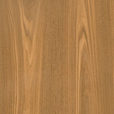 Piso Cerâmico Acácia Madeira Retificado 67x67 Ilhabella