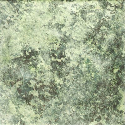 Revestimento Parede Gloss Ivy Verde Bold Polido 20x20 Pierini