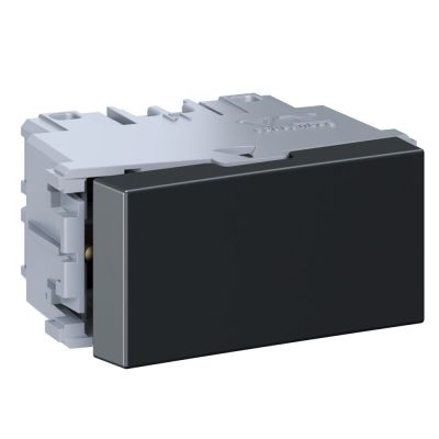 Módulo Interruptor 1S 10A Bipolar Esatta Grafite Escuro Weg