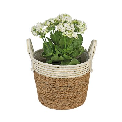 Cesta Decorativa com Alça 25x25x19cm Bege Fascino
