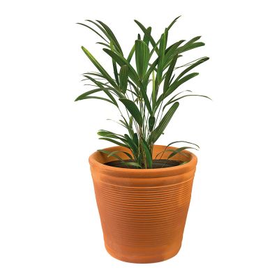 Vaso Cerâmico Ana Júlia N2 Natural Fascino