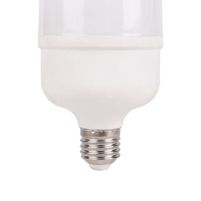 Lâmpada 30w High Power Branco Bivolt Bronzearte