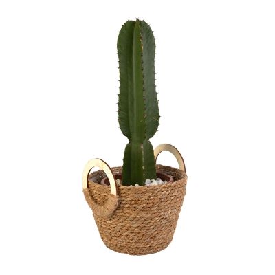 Cachepo Fibrancoa Natural 26x26cm Fascino