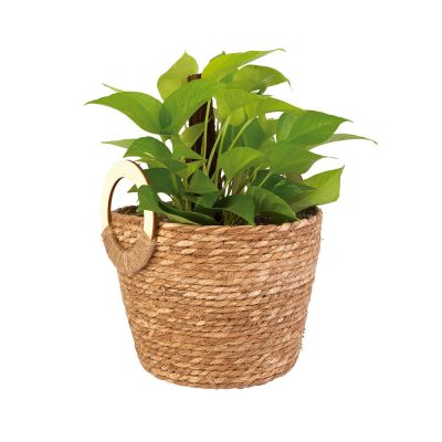 Cachepo 30x30cm Fibrancoa Natural Fascino