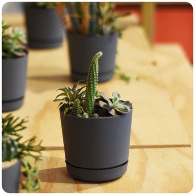 Vaso Plastico Rio Grafite 10,5x9,8cm Vasart