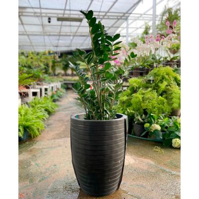 Vaso Plástico Relevo Preto 30x40cm Vasart