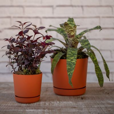 Vaso Plástico Rio Terracota 15cm Vasart