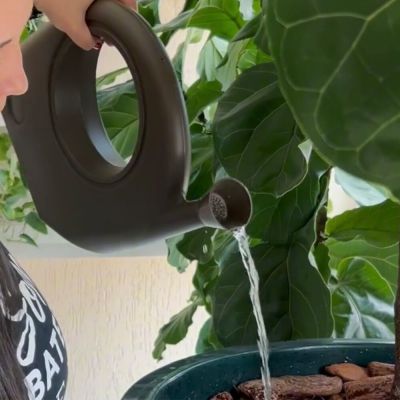 Regador para Plantas 4l Foz Taupe Vasart