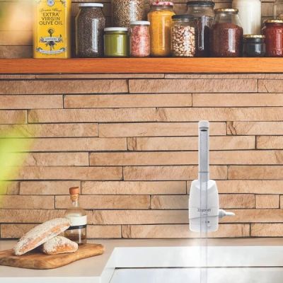 Torneira para Cozinha de Parede Luna Branco Zagonel