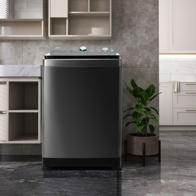 Lavadora de Roupas 14kg Plr14b Titanio Philco