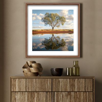 Quadro 50x50cm Árvore Tropical Artes