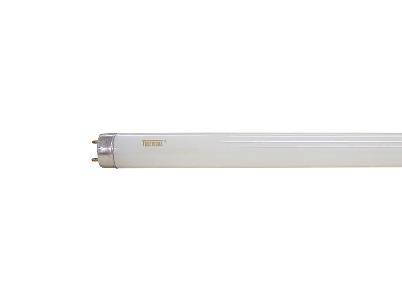 Lâmpada Fluorescente Tubular 18W T8 Taschibra