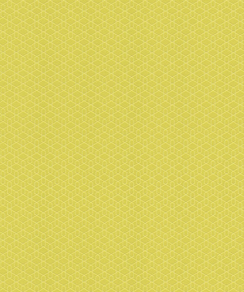 Papel de Parede Diagonal 0,53x10m Geo Circulos AM 800920