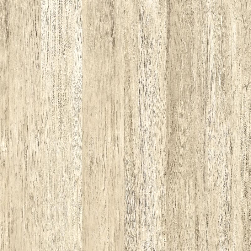 Piso Cerâmico Tauari Retificado Brilhante 61x61 Ilhabella