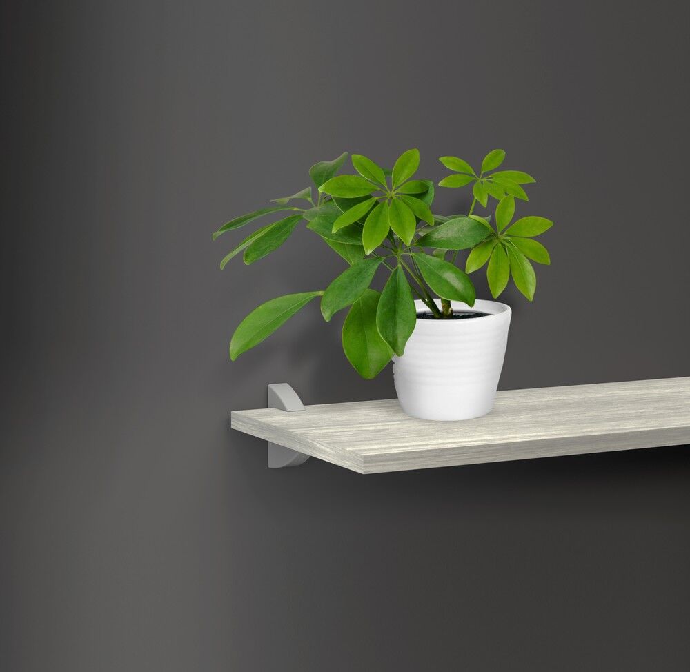 Prateleira Prat-K Concept com Suporte 20x40cm Concreto