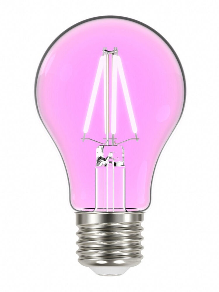 Lâmpada LED Filamento Taschibra Color 4W E27 Luz Rosa 11080499